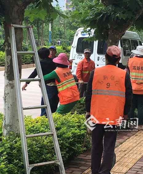 女子用垃圾桶怼绿化工人脸 网友：请尊重每一个