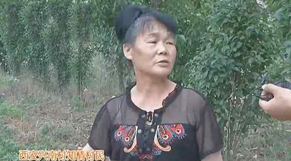 女童被恶犬围攻身亡 现场血迹斑斑令人悲痛