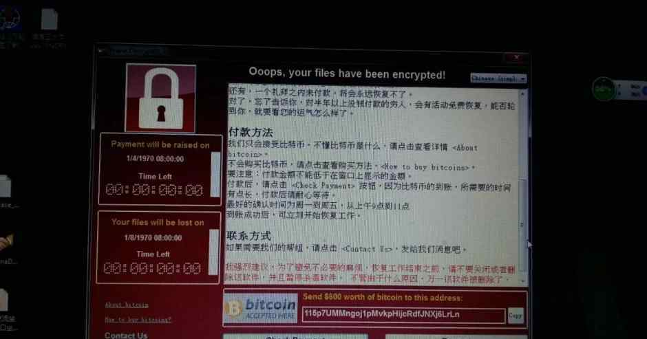 全球深陷“电脑浩劫” 他利用几美元成功阻止灾