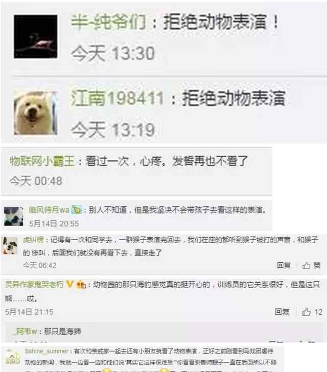 狗熊跨栏失败遭踢＂裆部＂:视频曝光 网友愤怒