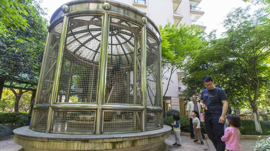 杭州一小区内养孔雀 居民议论纷纷