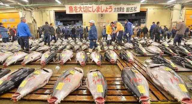 生鱼片刀 关于日料店的生鱼片，你知道的都是错的！