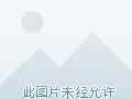 男子婚恋网站“交友” 交往5女子一年骗547万元文章配图