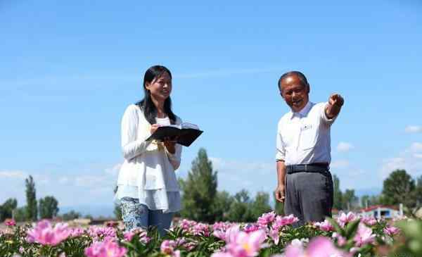 新疆哈巴河县引进芍药实现观赏、收益双丰收(图