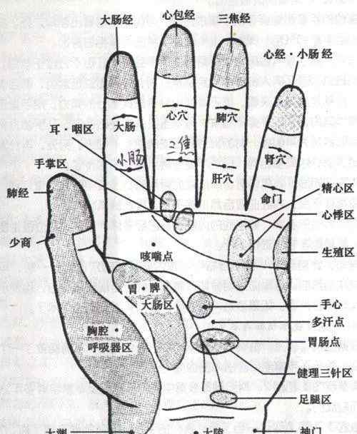 人体手部的穴位 人体手部穴位图(高清详解) 手掌穴位图解大全