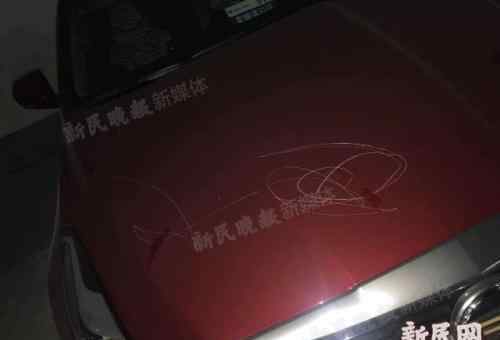 熊孩子揣石头地下车库探险 小区16辆豪车划损(图