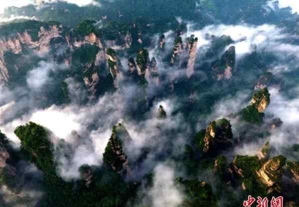 张家界黄石寨景区 雨过天晴云漫峰林