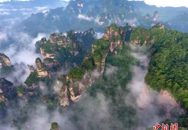 张家界黄石寨景区 雨过天晴云漫峰林