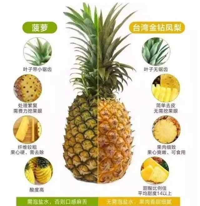 菠萝和凤梨的区别图片 菠萝和凤梨有何区别？看完这张图秒懂文章配图