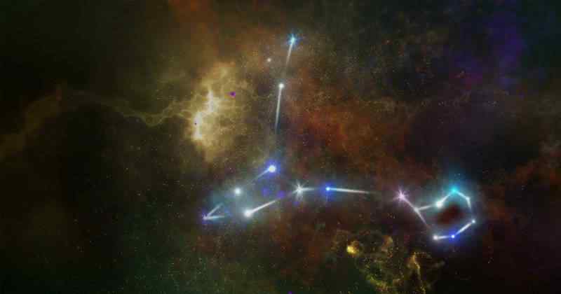 双鱼座是什么象星座 双鱼座是什么象星座