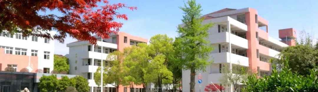 扬子江高级中学 扬子江高中2019年高考喜讯来了！文章配图