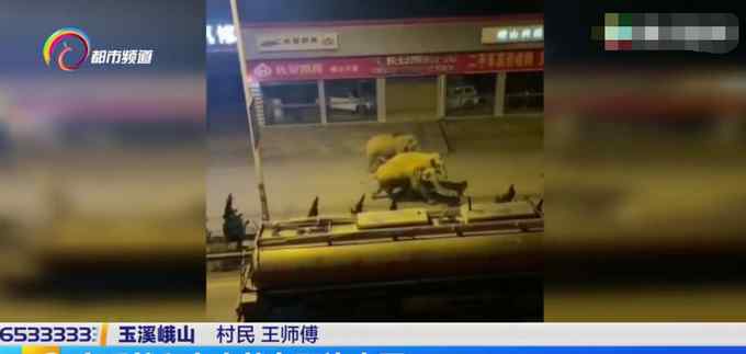 云南野象群6头大象闯入汽车店喝干两吨水 监控拍下罕见一幕文章配图
