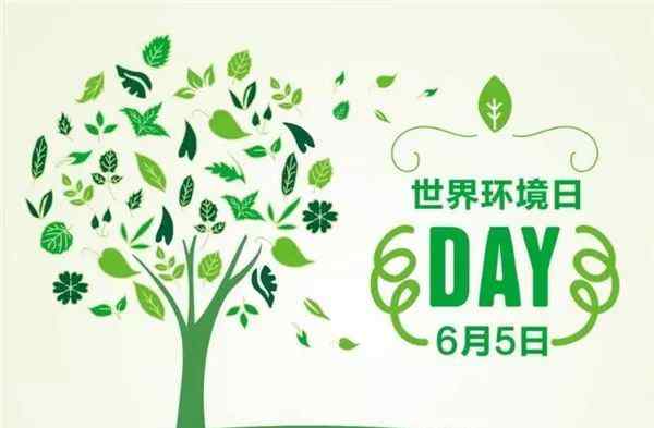 世界环境日的由来 世界环境日的由来