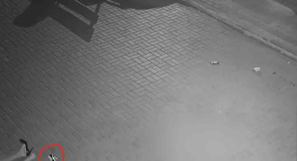 女子深夜遭暴打 女子街头深夜遭暴打、拖行：我什么都没做，却被人渣拖入深渊
