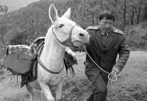感动中国的邮递员王顺友去世 享年56岁 对此大家怎么看？