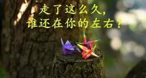 人生感悟经典句子 人生感悟的经典哲理句子 感悟人生的经典语录短句文章配图