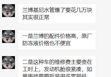长沙男子用兰博基尼尾焰烤肉 下一秒却……！网友：史上最贵肉串