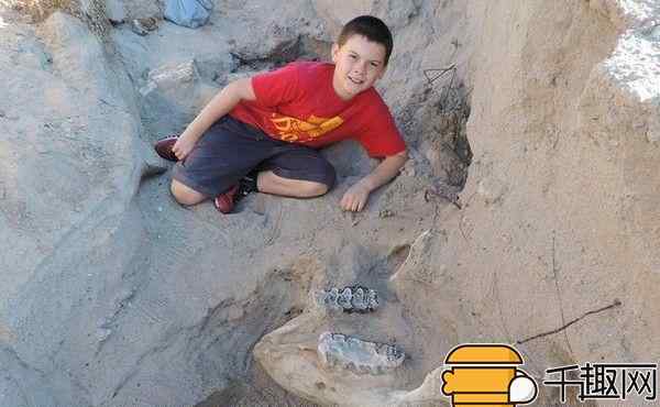 10岁男孩沙漠中跌倒 撞到他的是120万年化石！文章配图