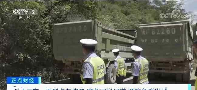 多辆渣土车24小时待命云南玉溪：建立防线防止大象进城 事情经过真相揭秘！