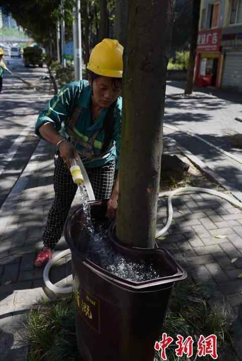 重庆高温 4000个浇灌神器＂上岗＂