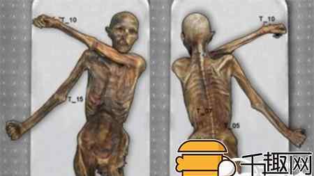 5300年前就有纹身？最古老纹身在冰人奥茨身上
