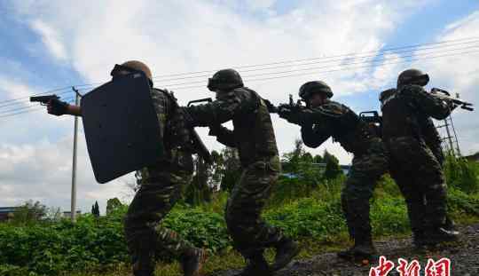 驻闽武警部队实战化检验特战队员反恐能力