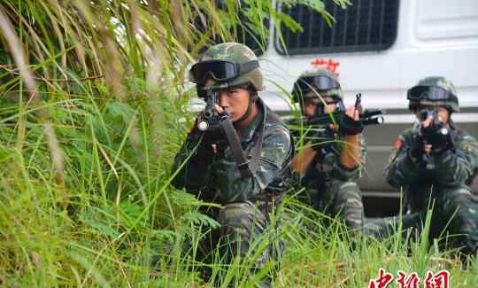 驻闽武警部队实战化检验特战队员反恐能力