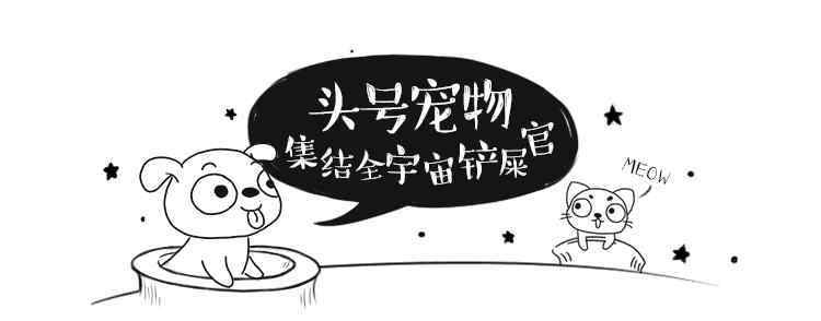 友善的狗 10大对孩童最友善的狗 有些居然不认识！