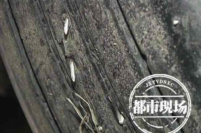 江西60公里高速全是钉子！100多辆车中招了 事情的详情始末是怎么样了！