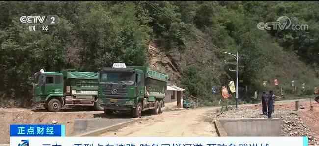 多辆渣土车24小时待命云南玉溪：建立防线防止大象进城 事情经过真相揭秘！