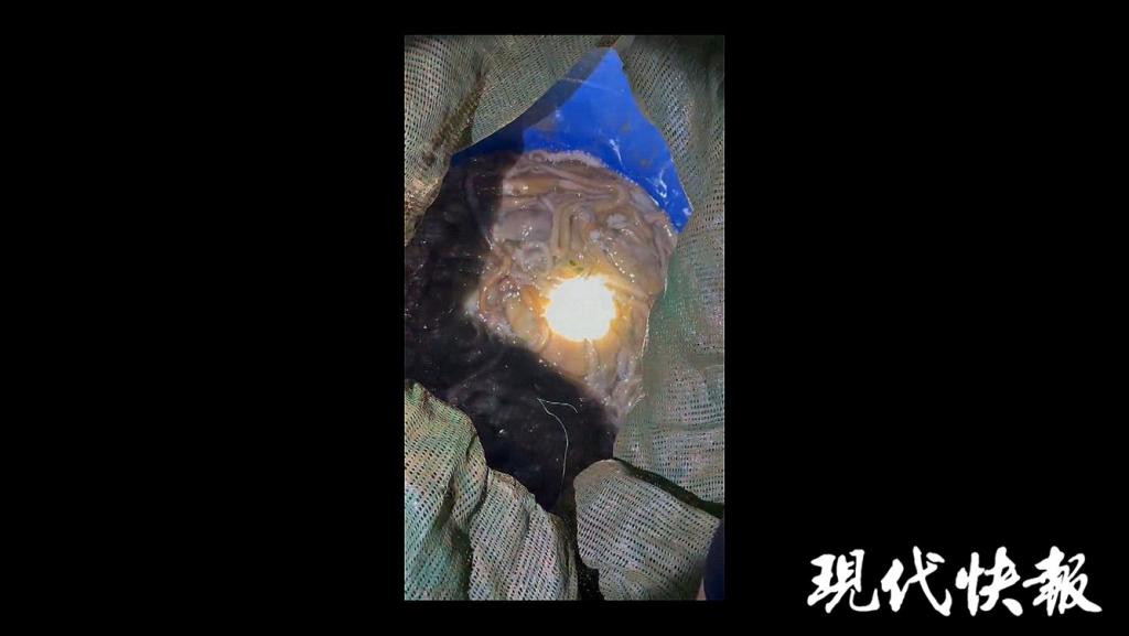 蹊跷！凌晨船员把刚捕的海鲜往海里扔
