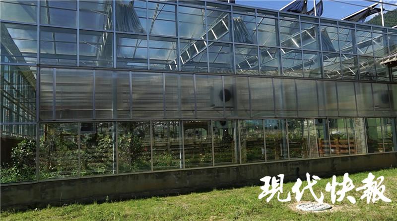 “温室花”成脱贫大产业，探寻高原上的植物园