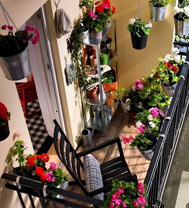 原本空空的露台,改造成了人人羡慕的大花园