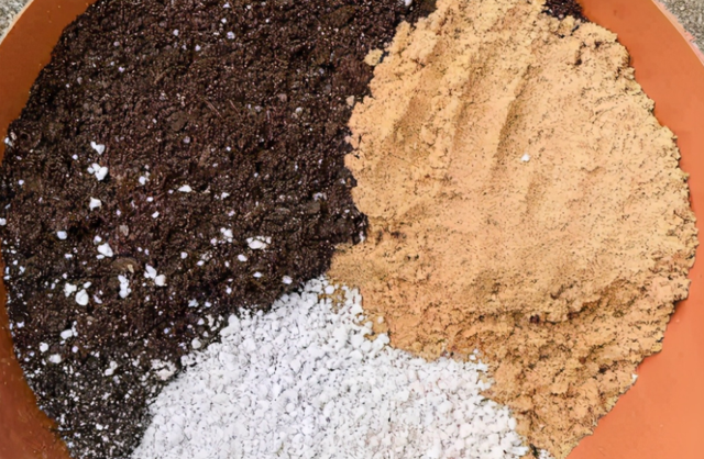 养花其实不用买土,这么配置万能营养土,有营养又透气