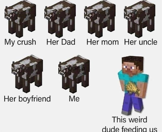 我叫Minecraft_看完笑死:那些只有Minecraft玩家秒懂的梗(一)