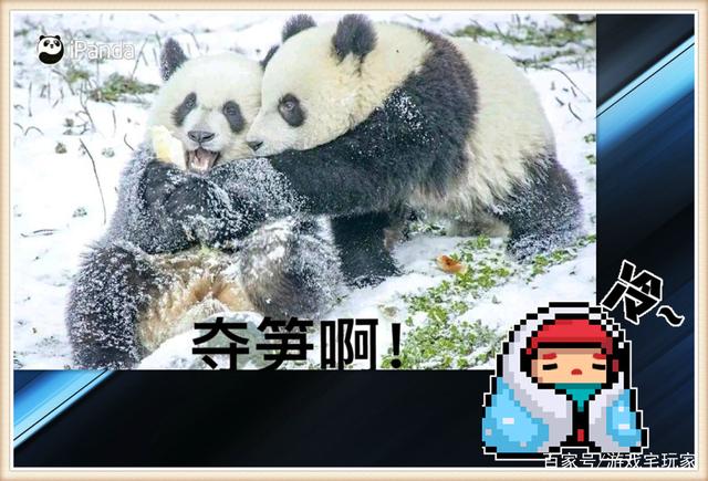 游戏宅玩家_元气骑士:哪种行为更容易让队友破防?那位大厅扔H弹的 你别走