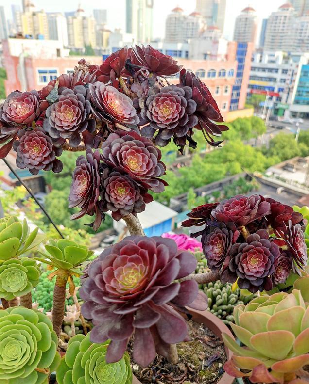 怎么能让法师爆很多头