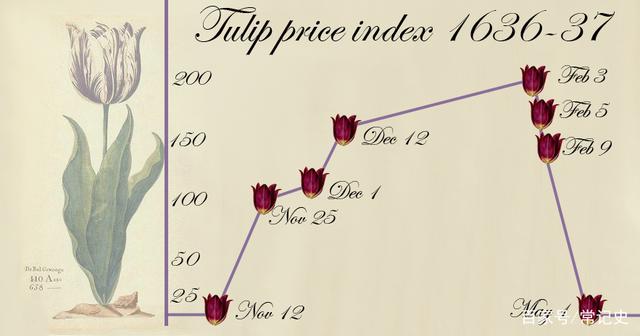 常记史 荷兰“郁金香泡沫”事件的始末过程