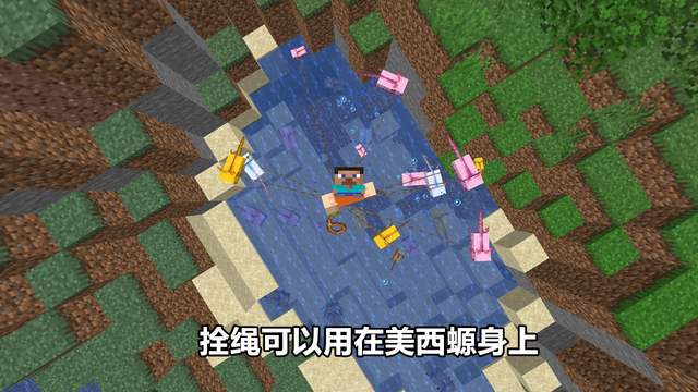 玩游戏的迷恋_我的世界:MC又多一稀有事件 生成几率比粉红羊还要低