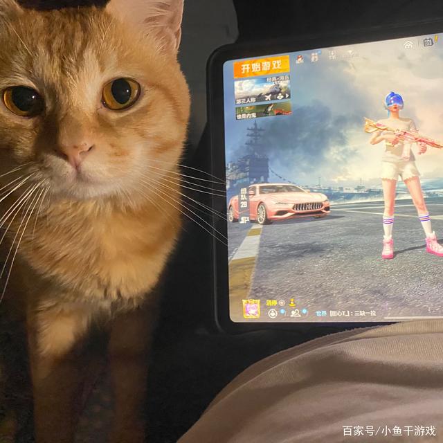 小鱼干游戏_吃鸡新套装未上架 就被玩家认出?在隔壁只卖1688点券