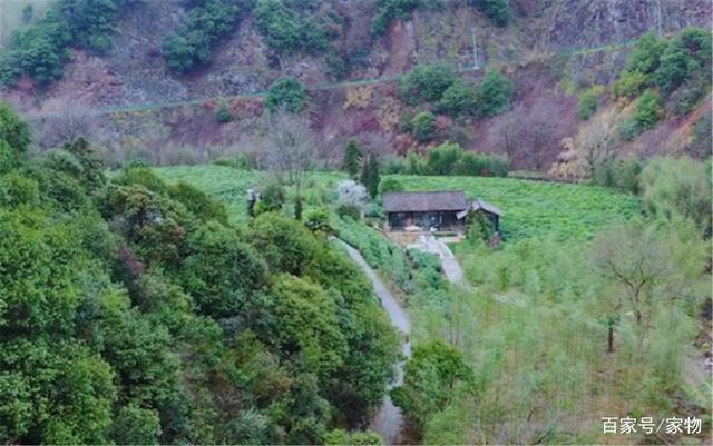 姑娘历时8个月将废弃老宅改成丛林别墅,网友:装修界“李子柒”