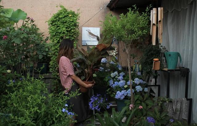 每一个园丁都想拥有一个小花园,哪怕只有12平米