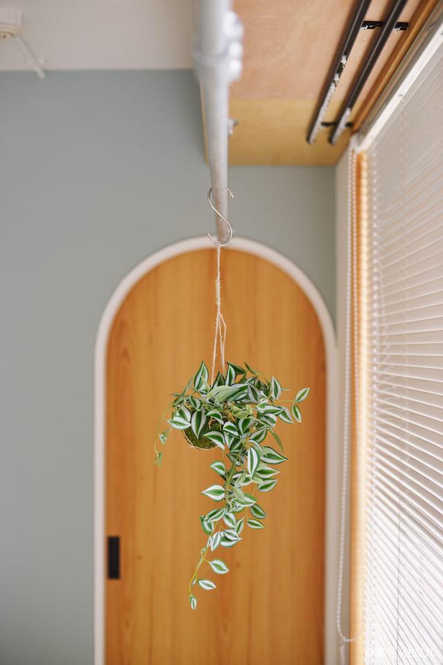 用浅蓝+原木搭出绝佳配色,木头树屋还能有四大功能!