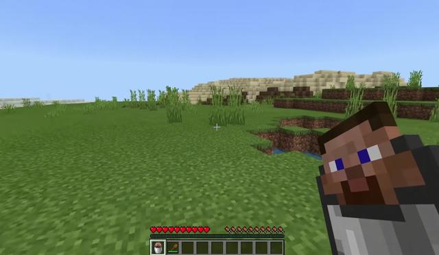 我叫Minecraft_我的世界:如果我说这13个截图都是真的 你信么?老mc:不对劲