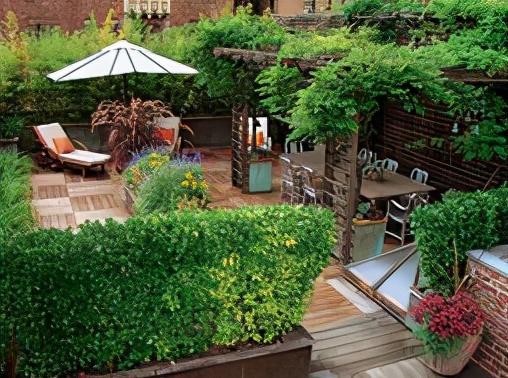 看了她家院子,我才发现:原来不装修也能“美出天际”