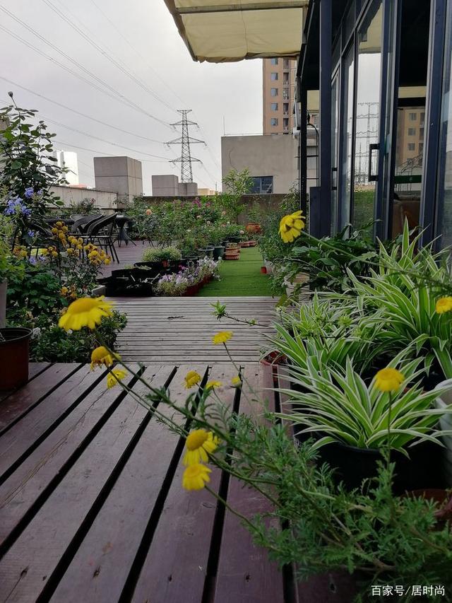 2年前买了个300㎡的露台,打造成屋顶花园,在都市过上了田园生活