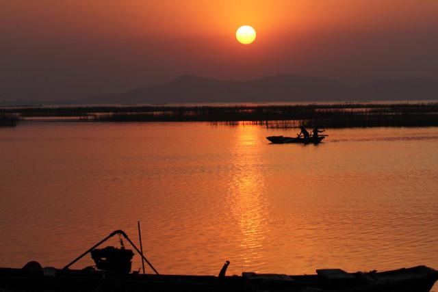 平湖一柱 颜建国:地名之变太愁人