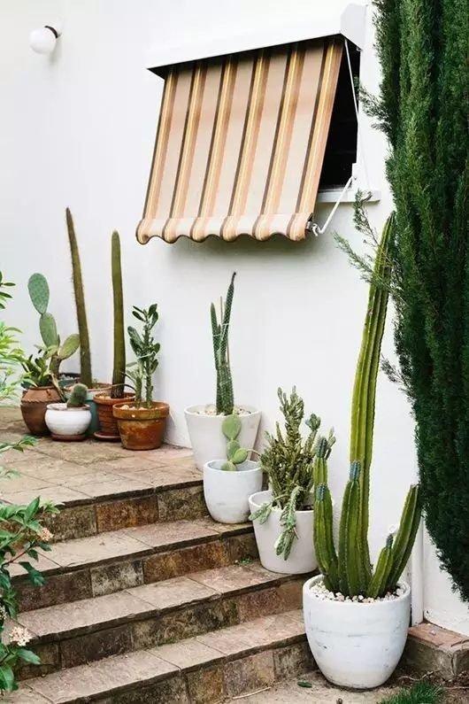 等你老了,头发白了,不妨弄这么一个小院,有花有树,适合养老