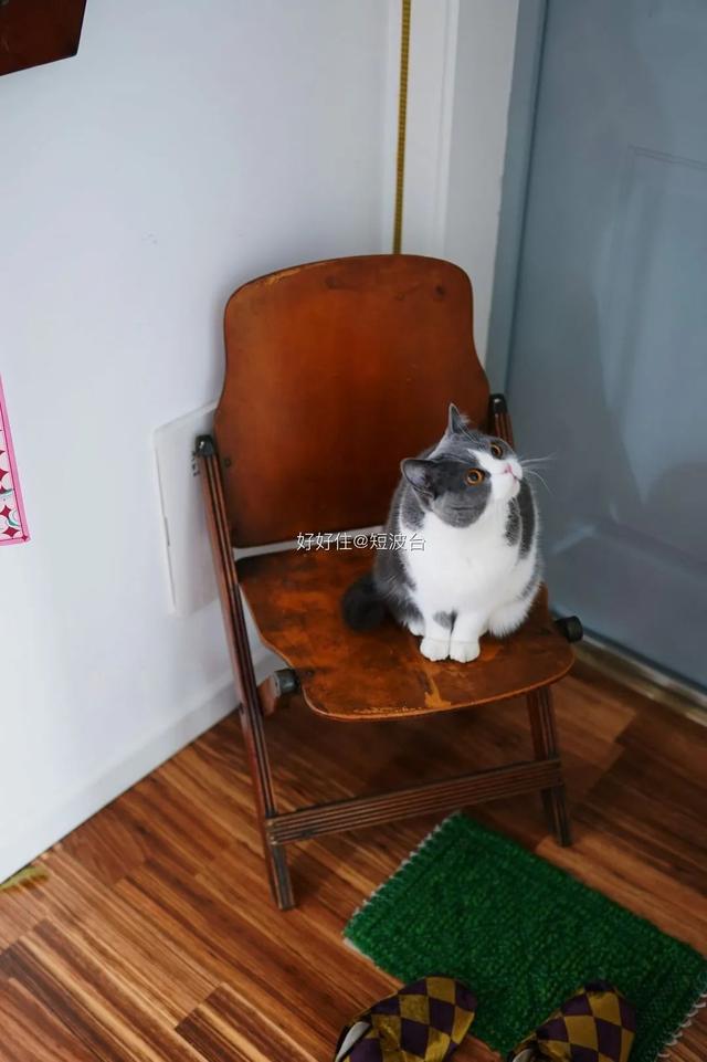 不愧是宝藏好家!93㎡,处处都美在心坎上