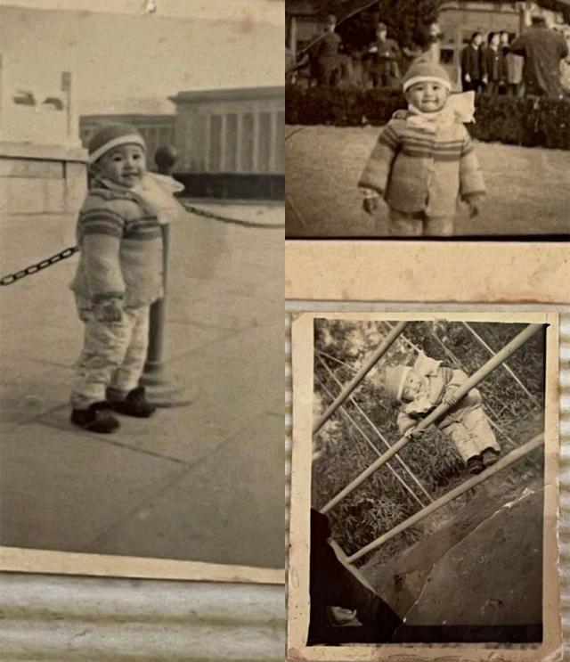 曹颖的“清醒”,让多少明星“脸红”